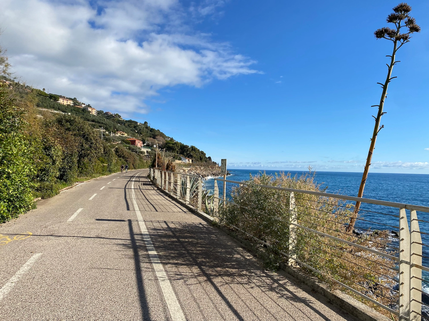 The Ciclabile Dei Fiori bike path A Picturesque Seaside Route on the Tracks of the Ancient Railway